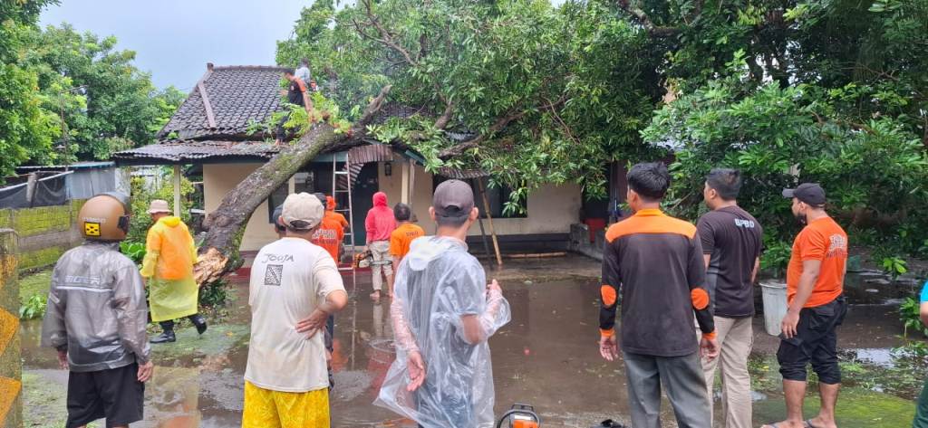 SIAP SIAGA: Petugas Satpol PP saat melakukan evakuasi pohon tumbang di Rembiga, beberapa waktu lalu.&nbsp;