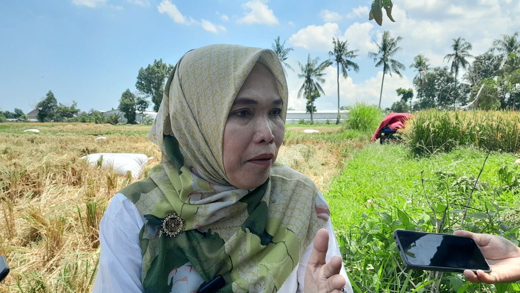Damayanti Widianingrum