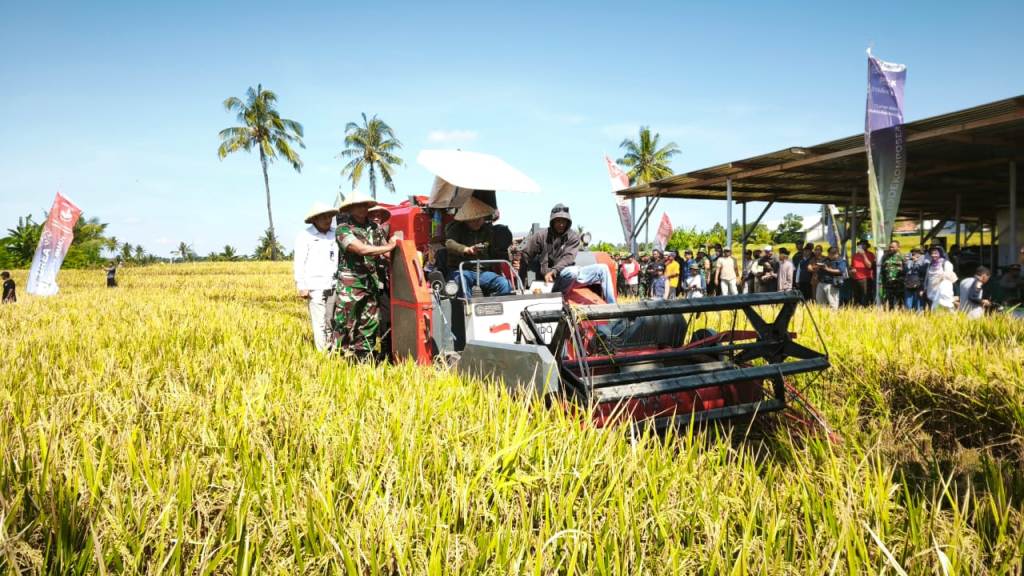 HASIL MELIMPAH: Bupati Lombok Timur (Lotim) saat mengikuti acara panen raya serentak padi di Kecamatan Wanasaba, Senin (7/4).