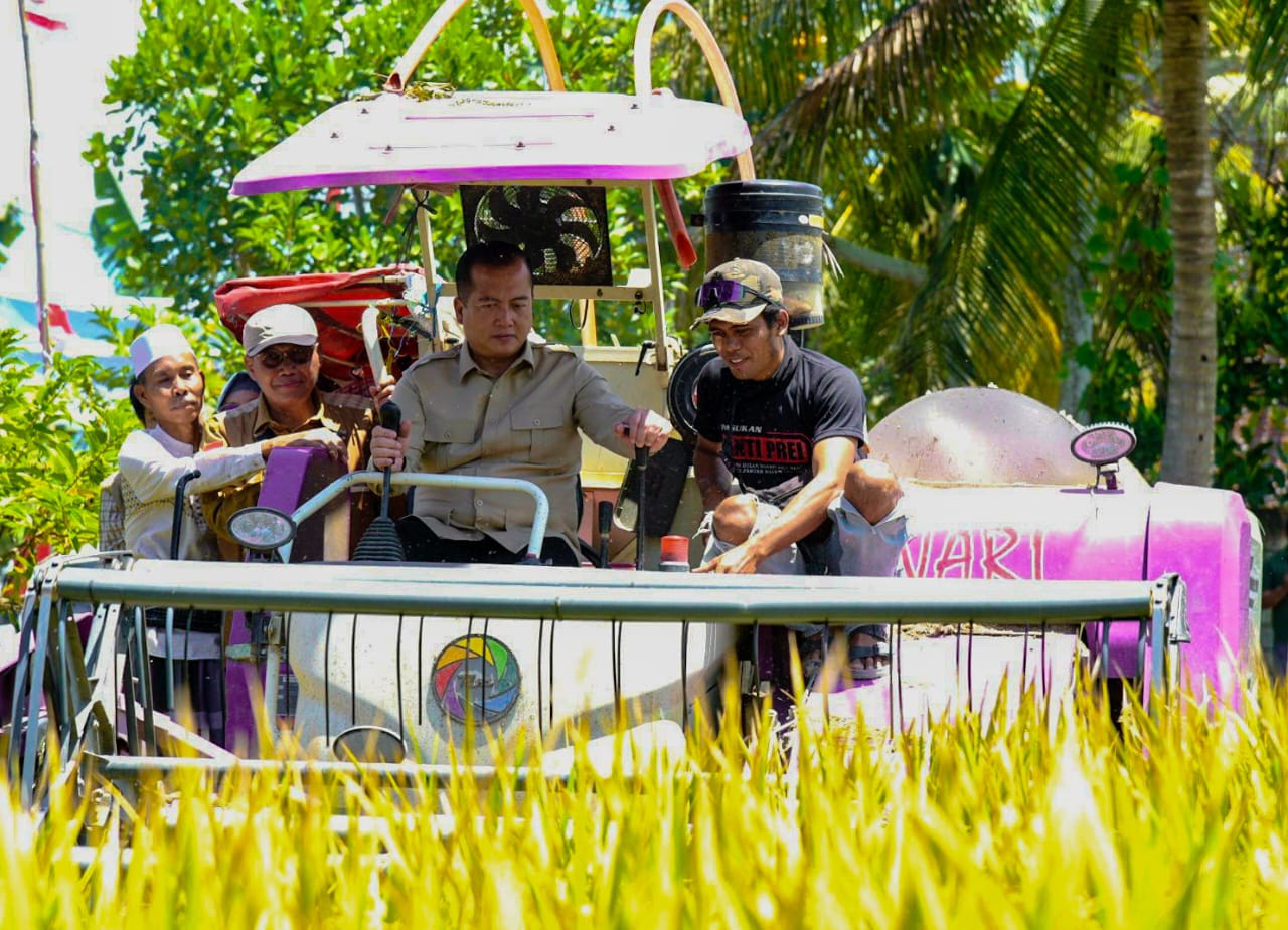 Gubernur NTB H Lalu Muhamad Iqbal turut ambil bagian dalam kegiatan Panen Raya Padi Serentak yang digelar secara Nasional, di Desa Teruwai, Kecamatan Pujut, Lombok Tengah, Senin (7/4).