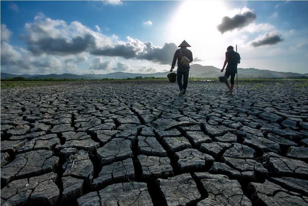 WASPADA KEKERINGAN: Hamparan sawah mengering di Desa Sengkol, Lombok Tengah, saat musim kemarau Oktober 2024 lalu. BPBD NTB meminta kabupaten/kota mulai mengantisipasi dampak kekeringan di musim panas