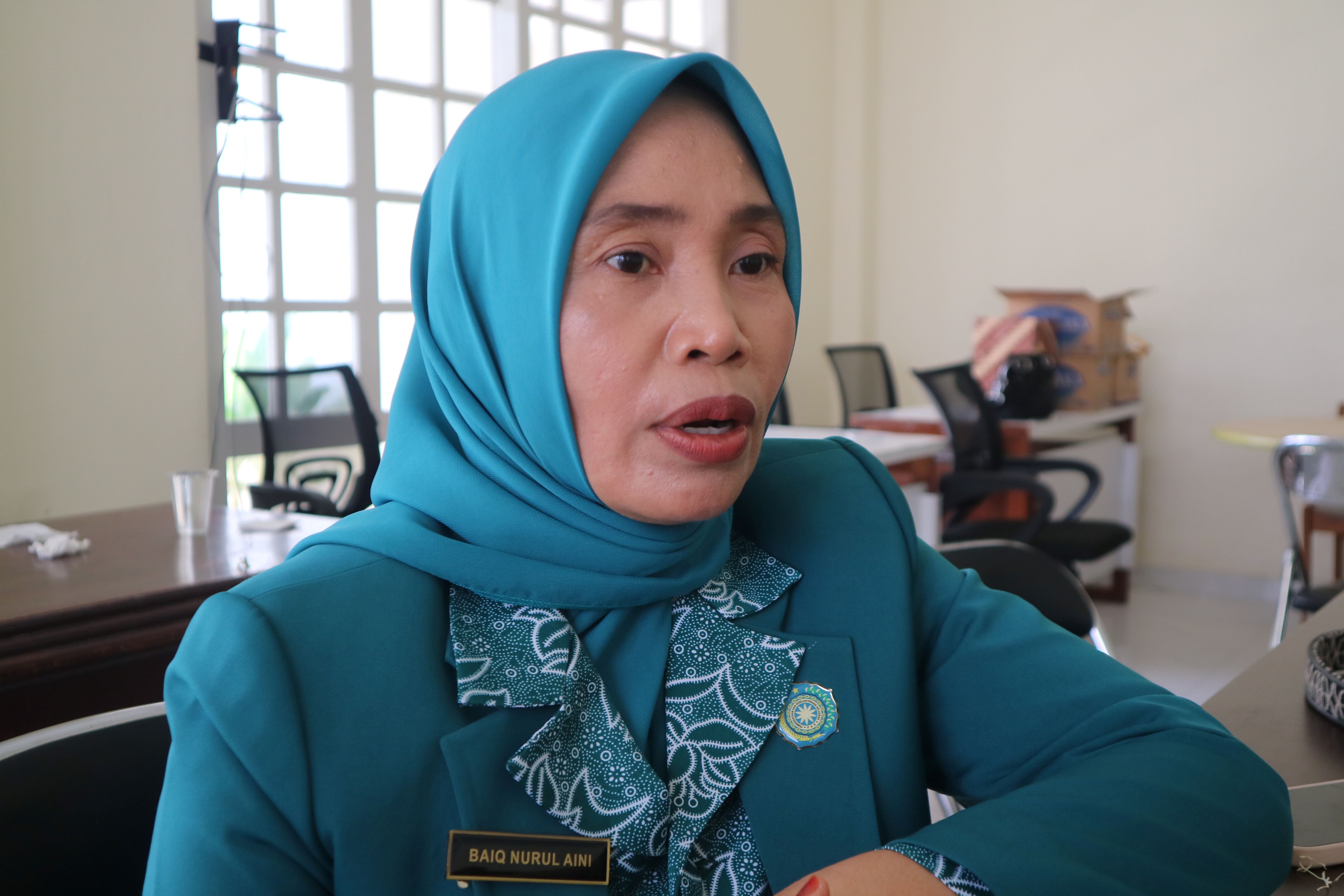 Hj Baiq Nurul Aini