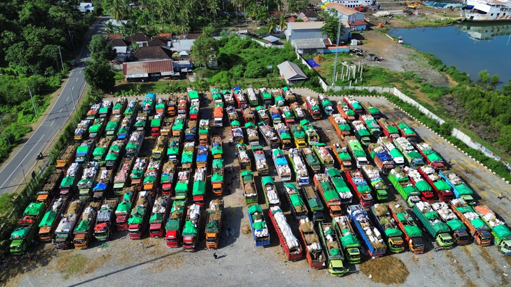 MENUNGGU GILIRAN: Puluhan truk yang mengangkut sapi harus menginap beberapa hari di areal Pelabuhan Gili Mas, Lombok Barat, untuk bisa masuk kapal tujuan Pulau Jawa.