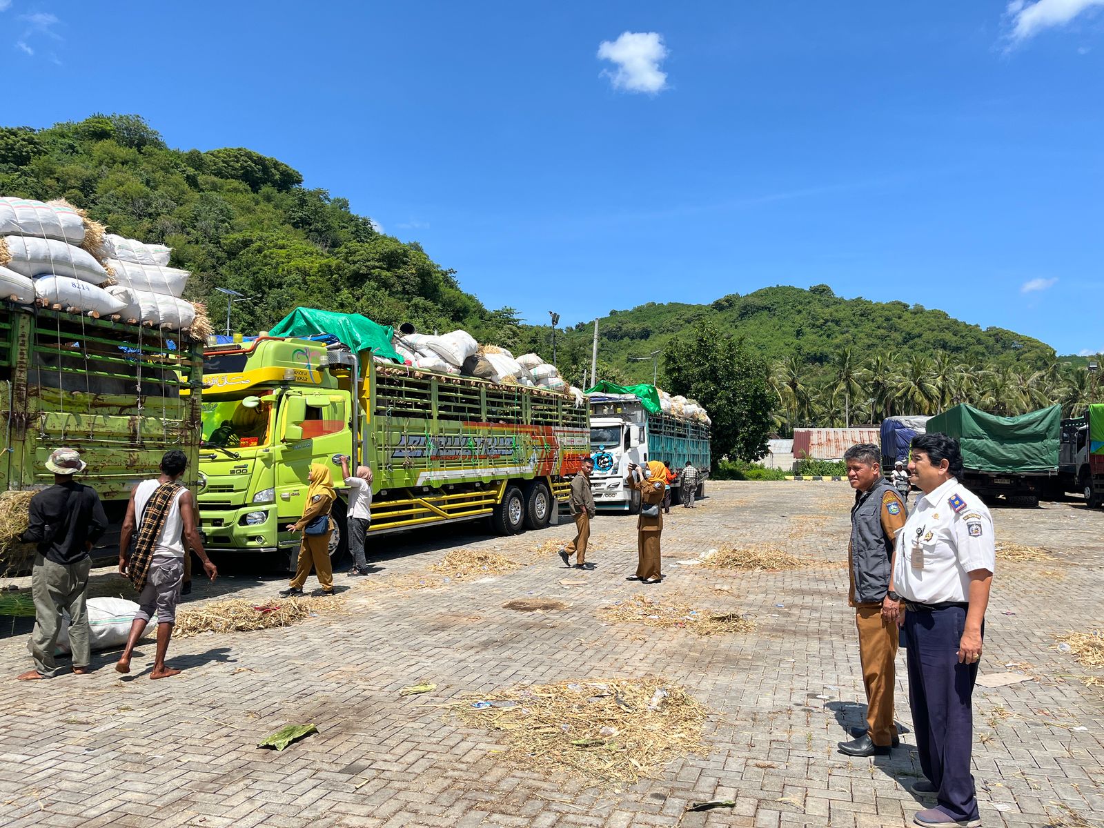 Truk sapi yang akan menyeberang dari Lembar menuju Padang Bai, Bali.