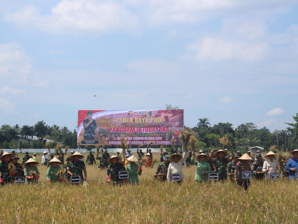 PANEN: Pangdam IX/ Udayana Mayjen TNI Piek Budyakto bersama Bupati Lombok Timur (Lotim) H Haerul Warisin saat melakukan panen raya padi di Desa Terara, Kecamatan Terara, Kamis (1/5).