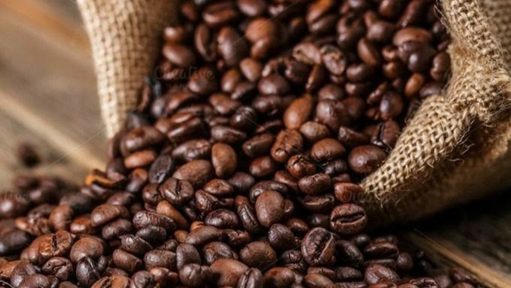 Biji Kopi