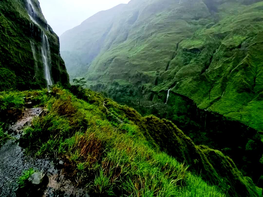Keindahan jalur pendakian Torean yang diabadikan @adiet_khicho dipublikasikan Balai Taman Nasional Gunung Rinjani dalam media sosialnya.