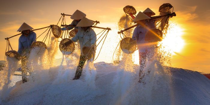 NTB diproyeksikan sebabagai calon sentra produksi garam nasional