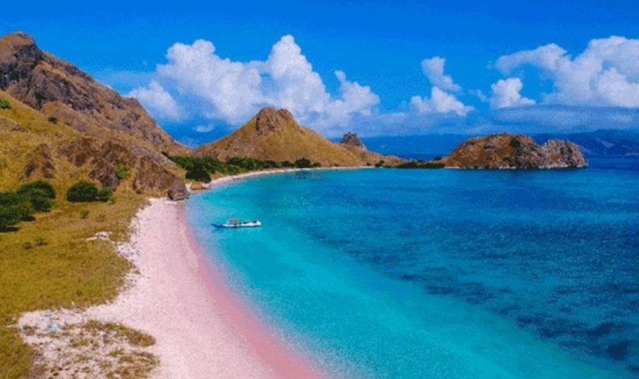 Pantai Pink Lombok