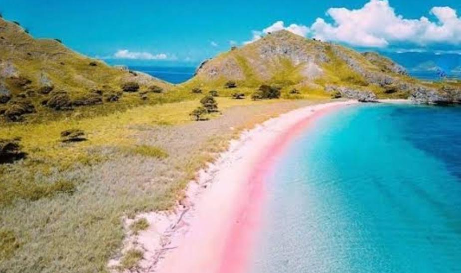 Pantai Pink Lombok memiliki keunggulan utama berupa pasir berwarna merah muda yang unik, akibat campuran pasir putih dengan pecahan karang merah.