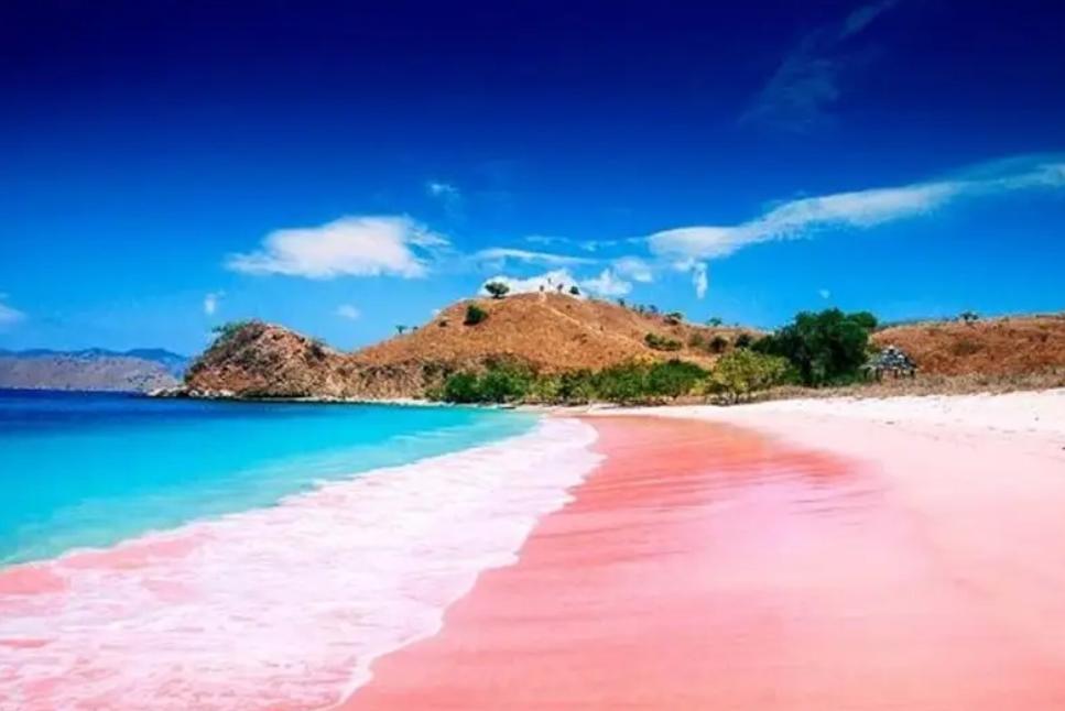 Pantai Pink Lombok merupakan destinasi yang selalu ramai pengunjung, salah satu penyebabnya adalah biaya menuju lokasi ini cukup murah.