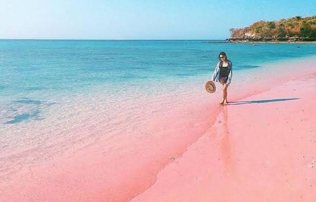 Pantai Pink Lombok memiliki pasir berwarna merah muda yang unik dan indah.