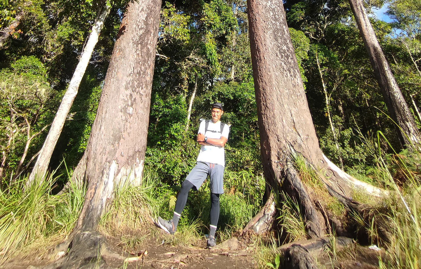 Seorang pengunjung berfoto di antara dua pohon raksasa di Pos 2 Bukit Gedong.