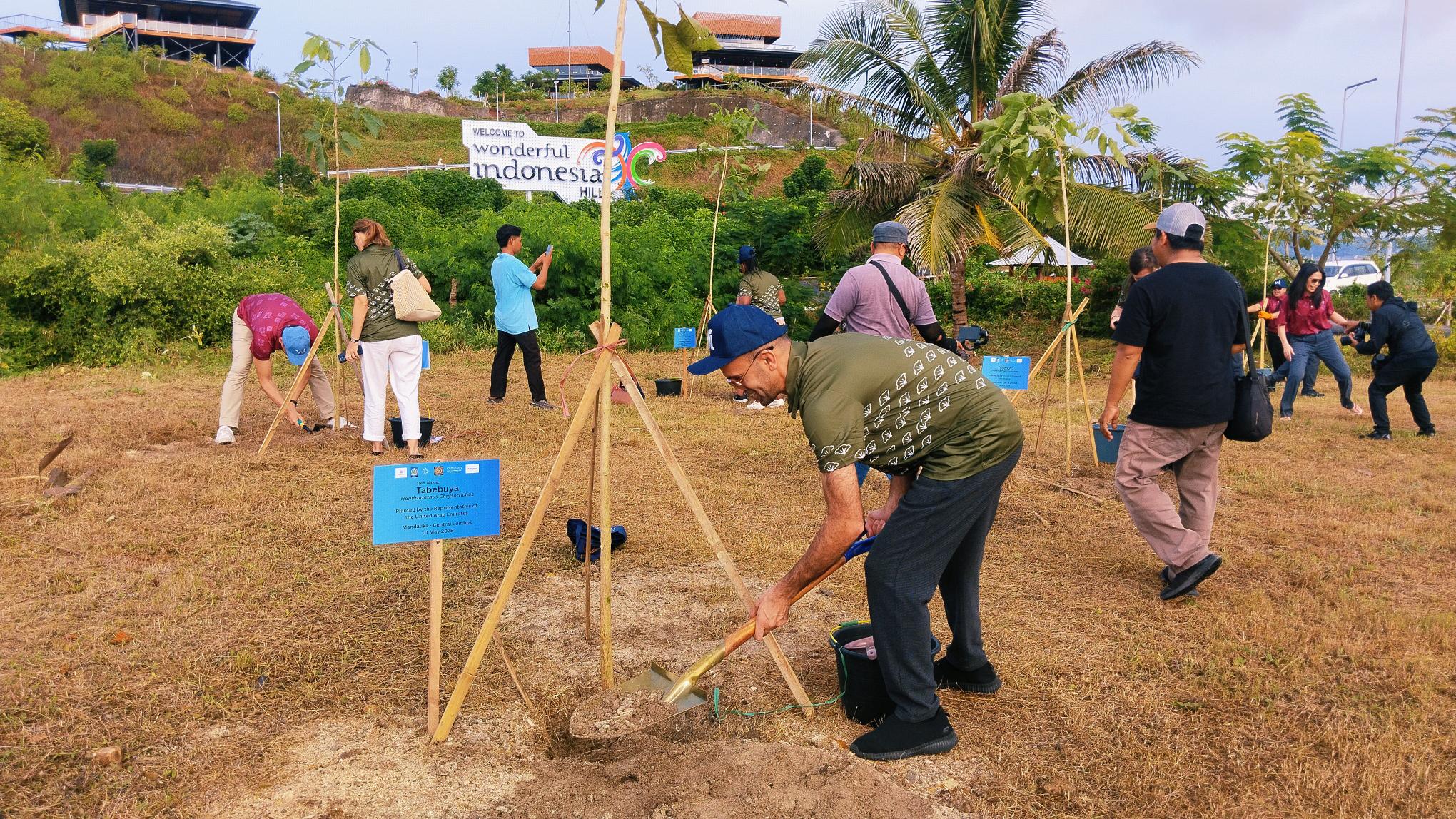 PARIWISATA HIJAU: Puluhan rombongan delegasi Indonesia Gastrodiplomacy Series (IGS) melakukan penanaman pohon di kawasan Bukit 360, Sirkuit Internasional Mandalika, Lombok Tengah, Sabtu (10/5).