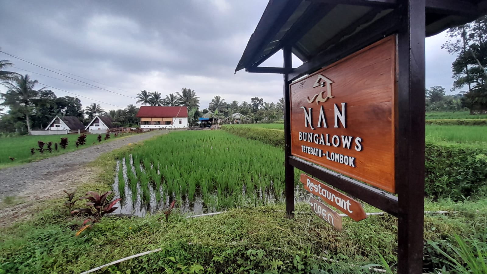TAWARKAN SUASANA ASRI: Sejumlah penginapan di tengah sawah Desa Wisata Tetebatu menawarkan suasana alam yang sejuk dan menenangkan.