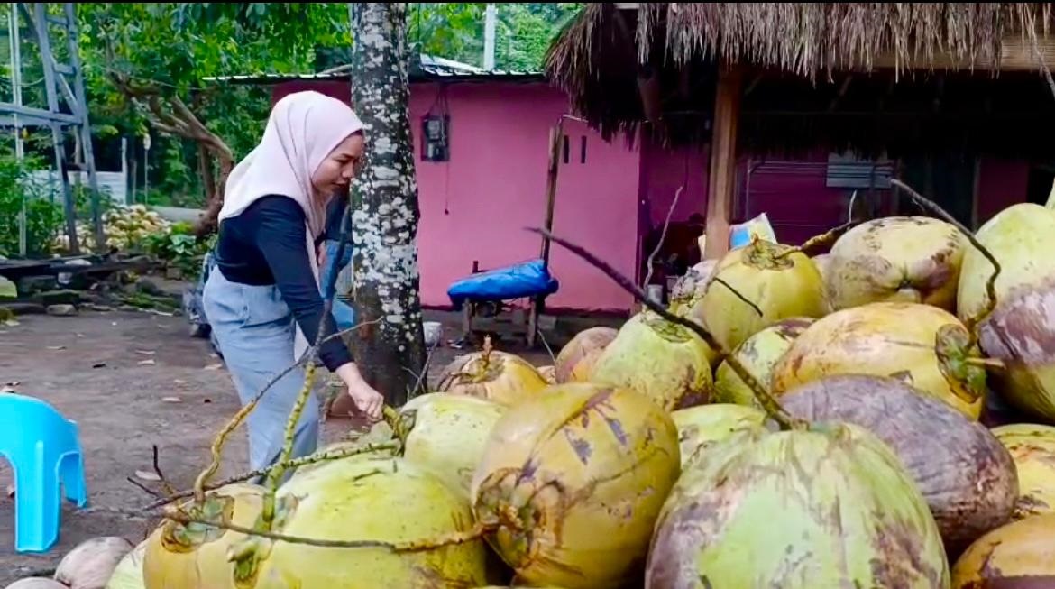 Salah satu pengusaha kelapa di Kabupaten Lombok Utara