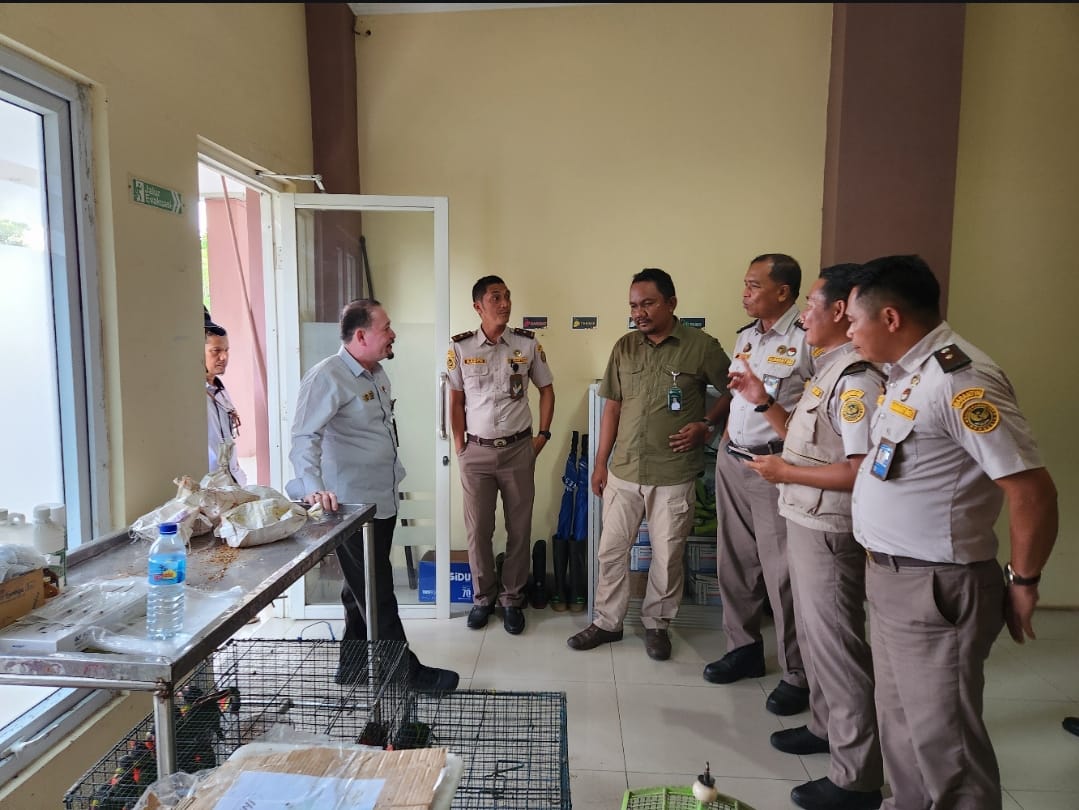 Kepala Karantina NTB Agus Mugiyanto (kiri) saat langsung mengecek burung-burung yang akan diselundupkan dan sudah diamankan Balai Karantina NTB di kantornya.