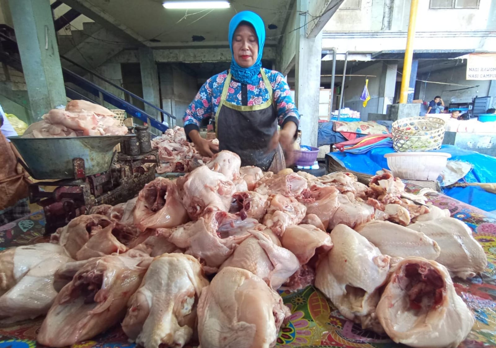 Harga Daging Ayam di NTB Merangkak Naik, Ternyata Gara-Gara Ini.