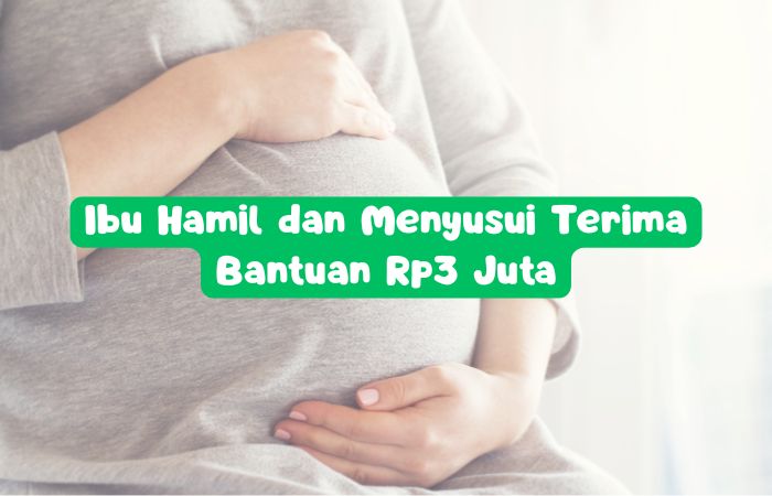 Bantuan ibu hamil dan menyusui terima bantuan Rp3 juta per tahun