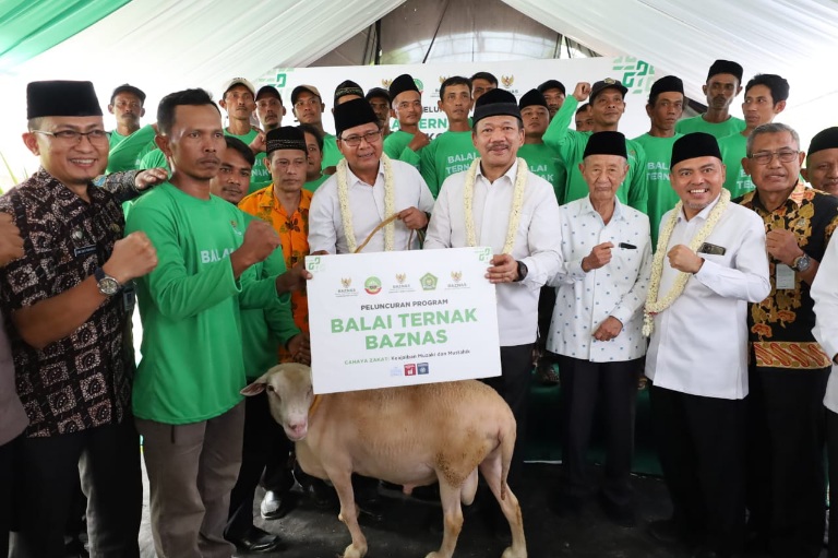 Ilustrasi hewan kurban yang layak disembelih saat Idul Adha.