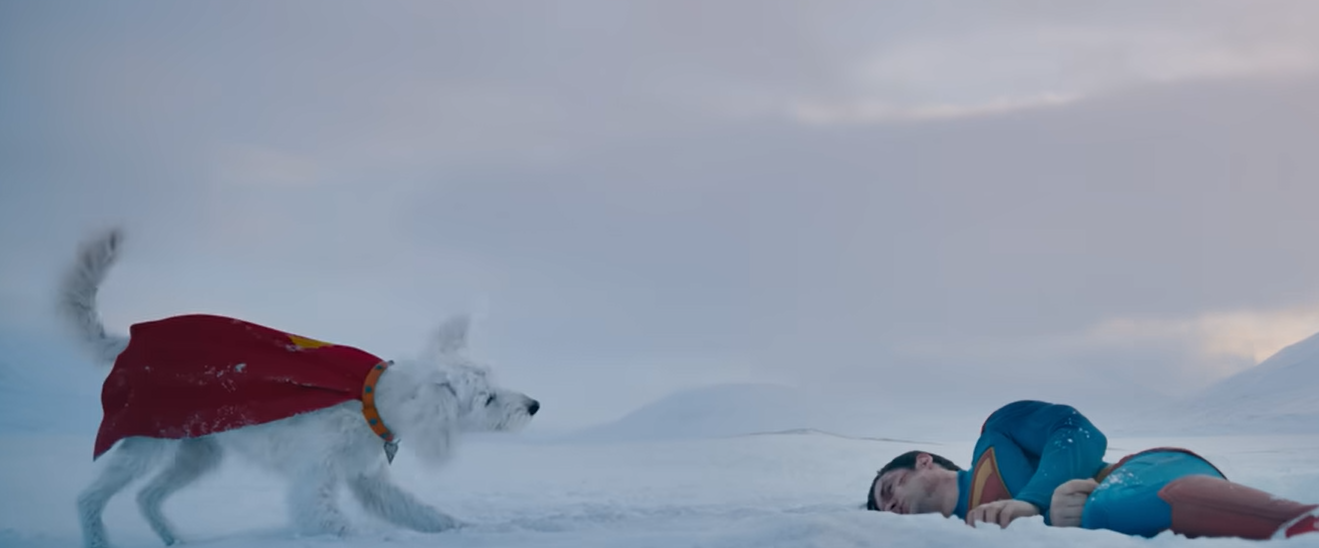 Krypto the Superdog akan muncul sebagai peliharaan dan salah satu superhero dalam film Superman DCU.