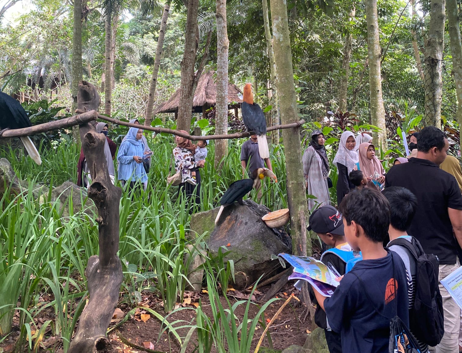 OUTING CLASS: Murid SDIT Yarla Batujai Outing Class ke Lombok Wild Life Park Tanjung Lombok Utara, beberapa waktu lalu.