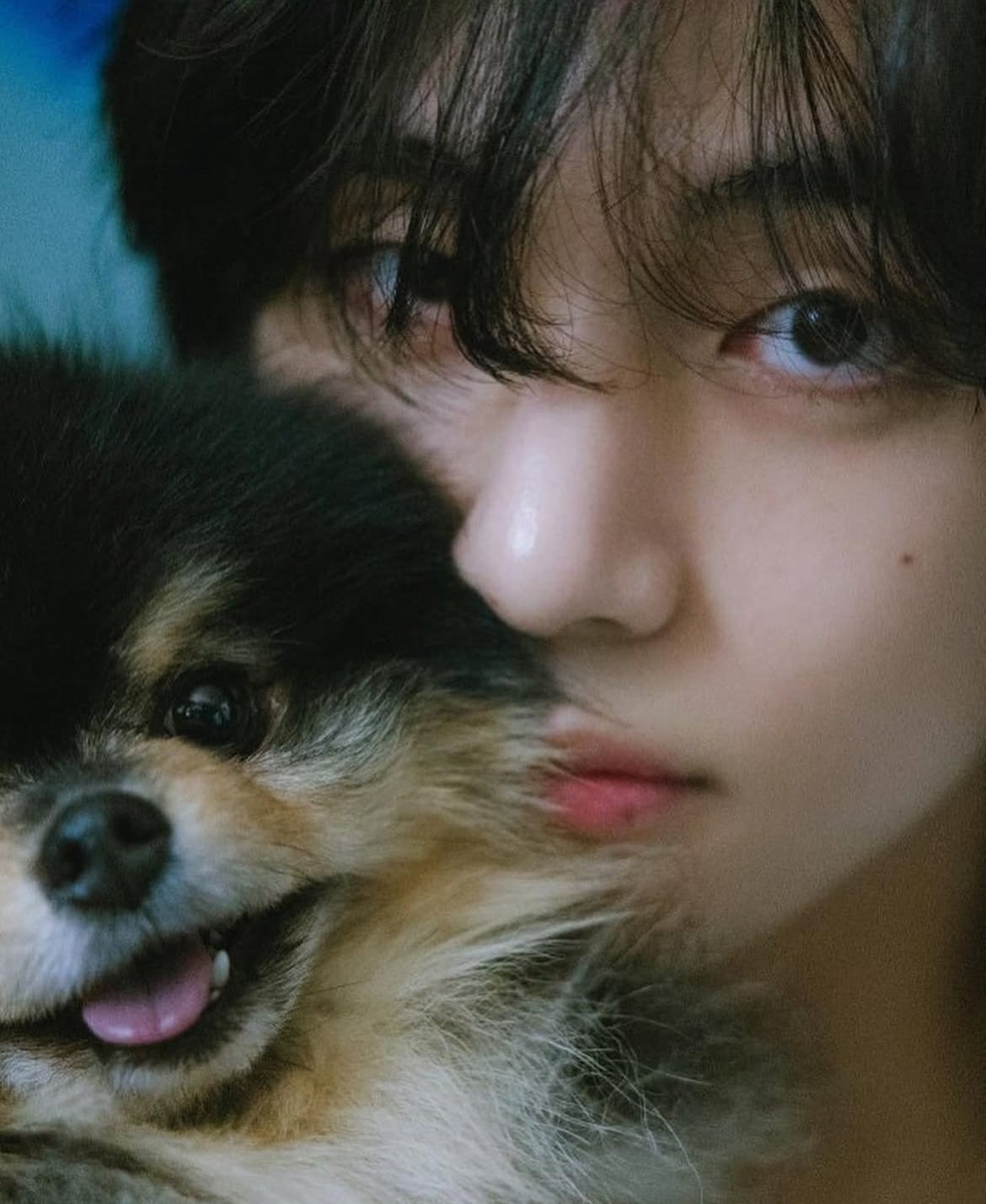 V BTS