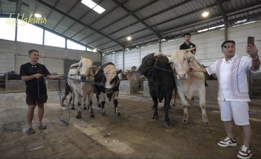 Penampakan Sapi Jumbo Limited Milik Raffi Ahmad untuk Kurban. (Foto: tangkapan layar youtube)