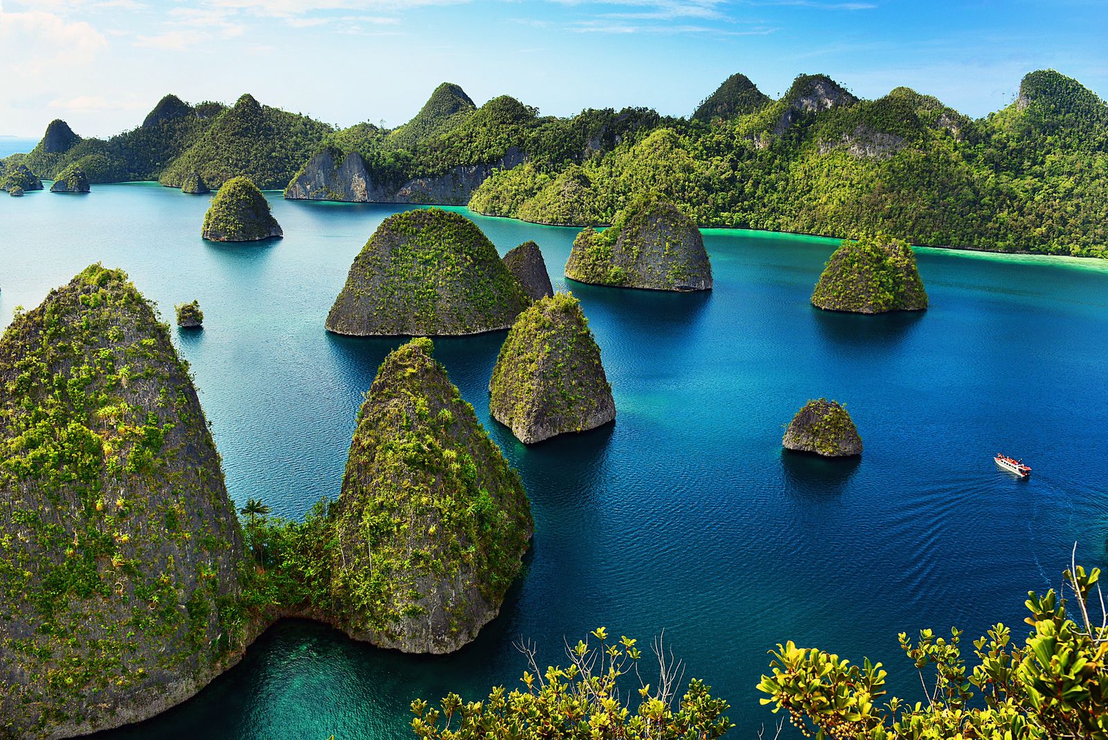 Keindahan dan keanekaragaman hayati laut Raja Ampat yang tak tertandingi kini berada di ambang ancaman serius.