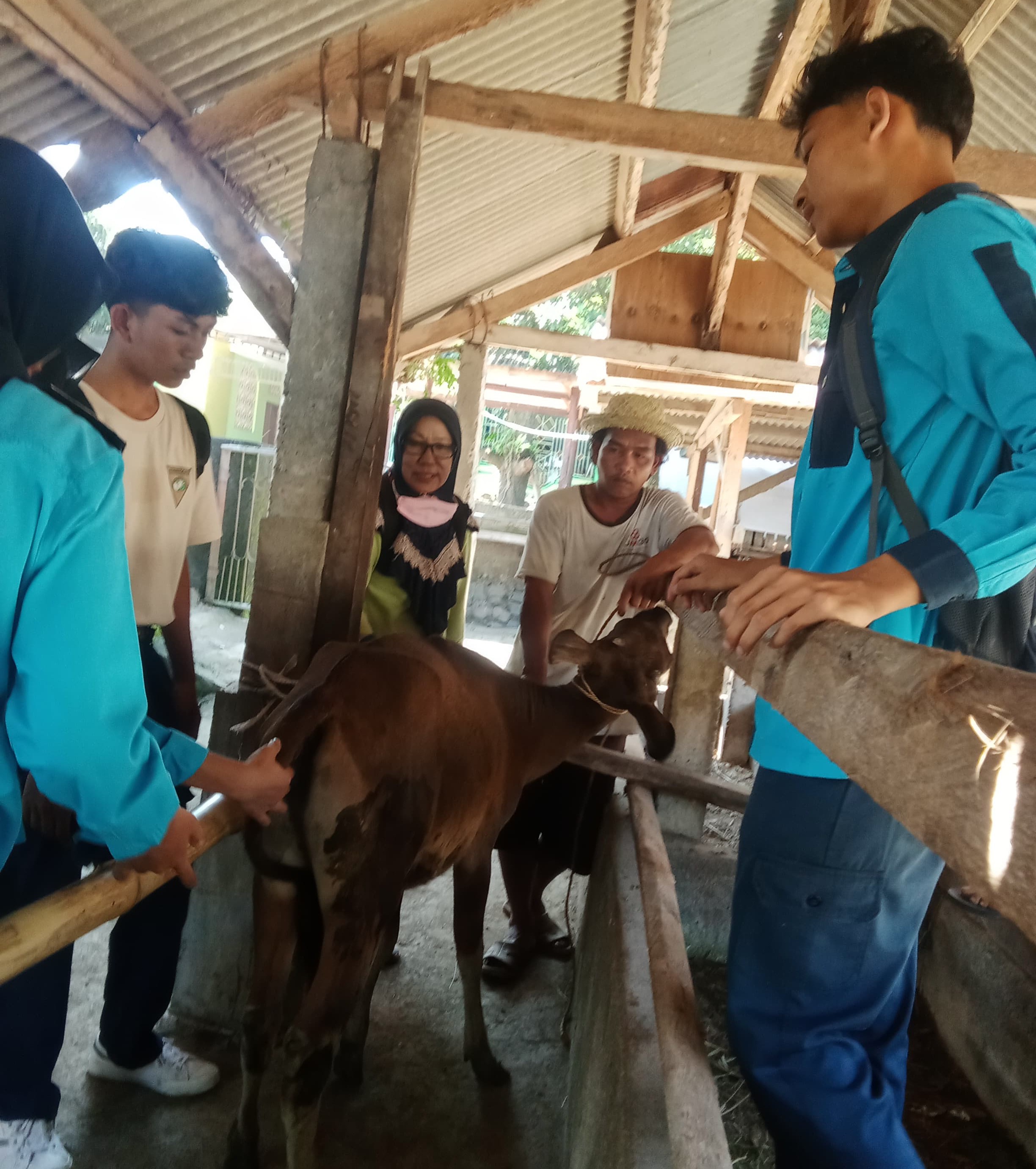 Siswa Jurusan Kompetensi Keahlian Kesehatan dan Reproduksi Hewan SMKPPN Mataram saat melaksanakan praktik.
