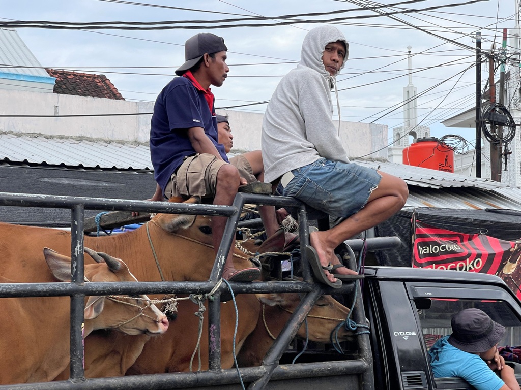 CARI UNTUNG: Sejumlah peternak membawa sapinya untuk dijual di pasar hewan Selagalas, beberapa waktu lalu.&nbsp;