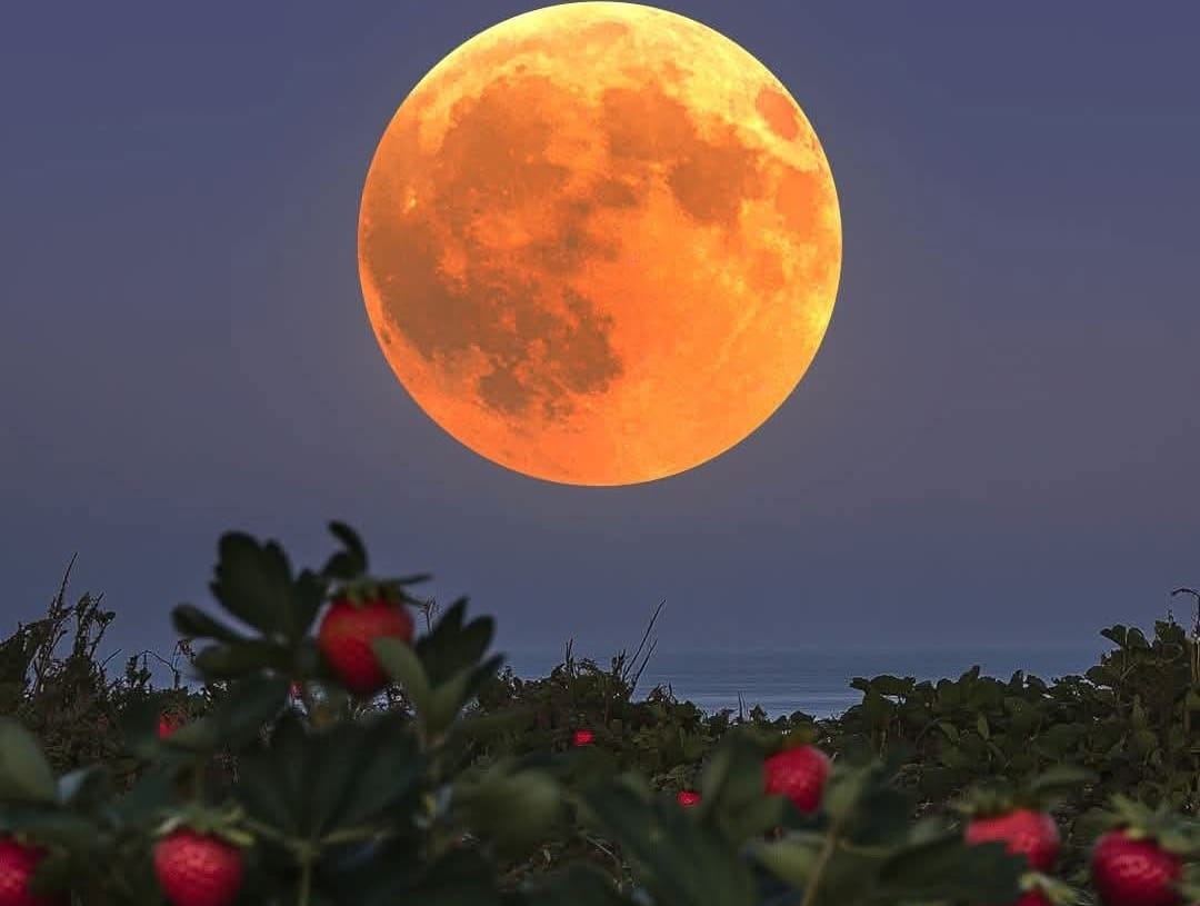 11 Juni, Bulan Purnama Stroberi Termanis Tahun Ini Siap Hiasi Langit!