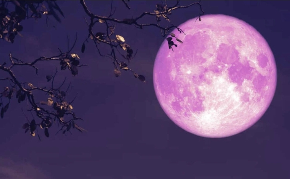Meskipun sering disebut sebagai gerhana bulan Strawberry, fenomena malam ini bukan gerhana, melainkan bulan purnama spesial yang hanya terjadi setiap 18,6 tahun sekali! (istimewa)