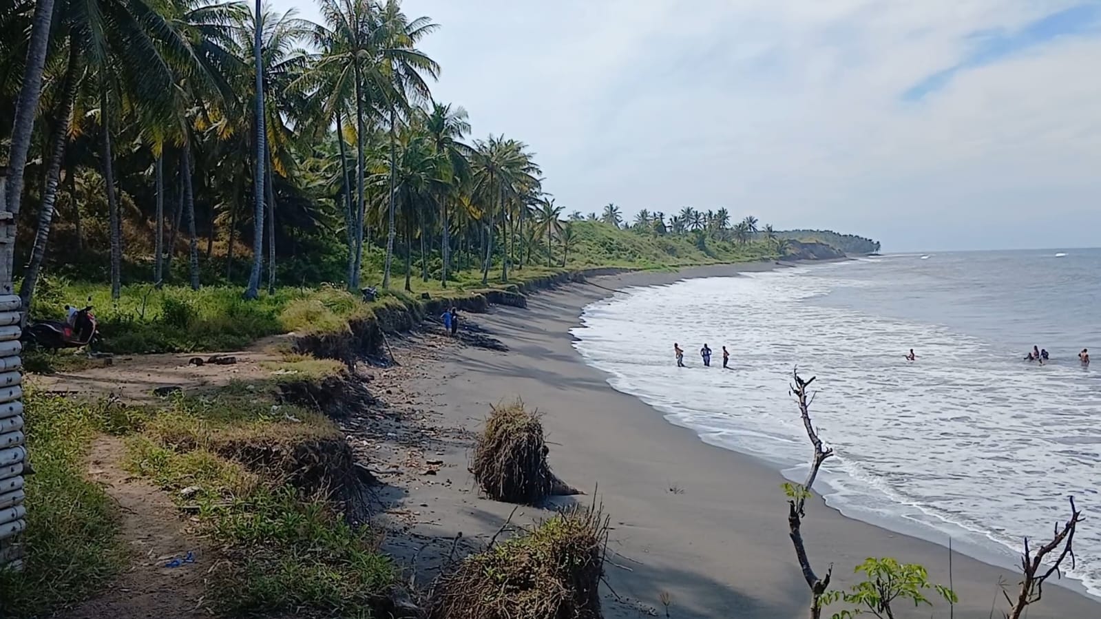 Kondisi Pantai Maik Anyir, kelurahan Ijo Balit, Kecamatan Labuhan Haji yang mengalami abrasi cukup parah