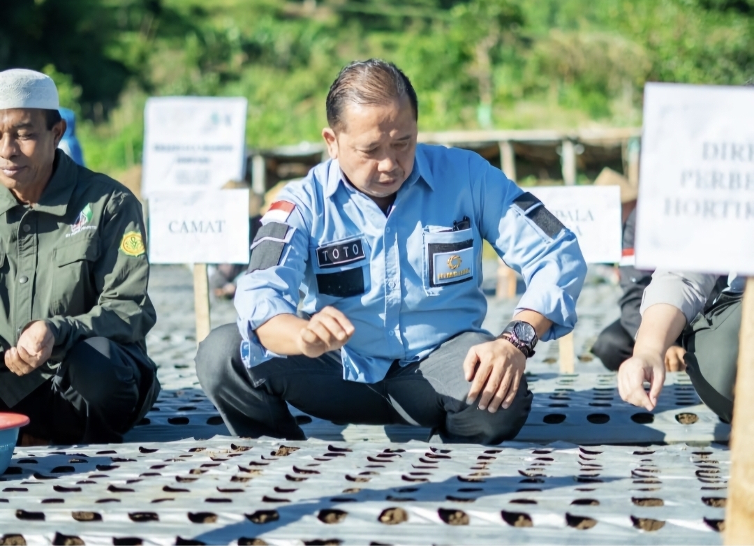 HIMPUNI diwakili Sekjen KA UNSOED, Ir. Syamsudin Hadi Sutarto, yang juga CEO BUMN Track, melakukan tanam perdana bawang putih di Sembalun, Lombok Timur.