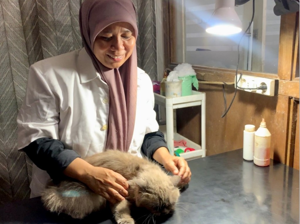 HEWAN KESAYANGAN: Drh Diah sedang memeriksa kondisi kucing yang dibawa ke praktik terbuka dokter hewannya di Mataram, beberapa waktu lalu.&nbsp;