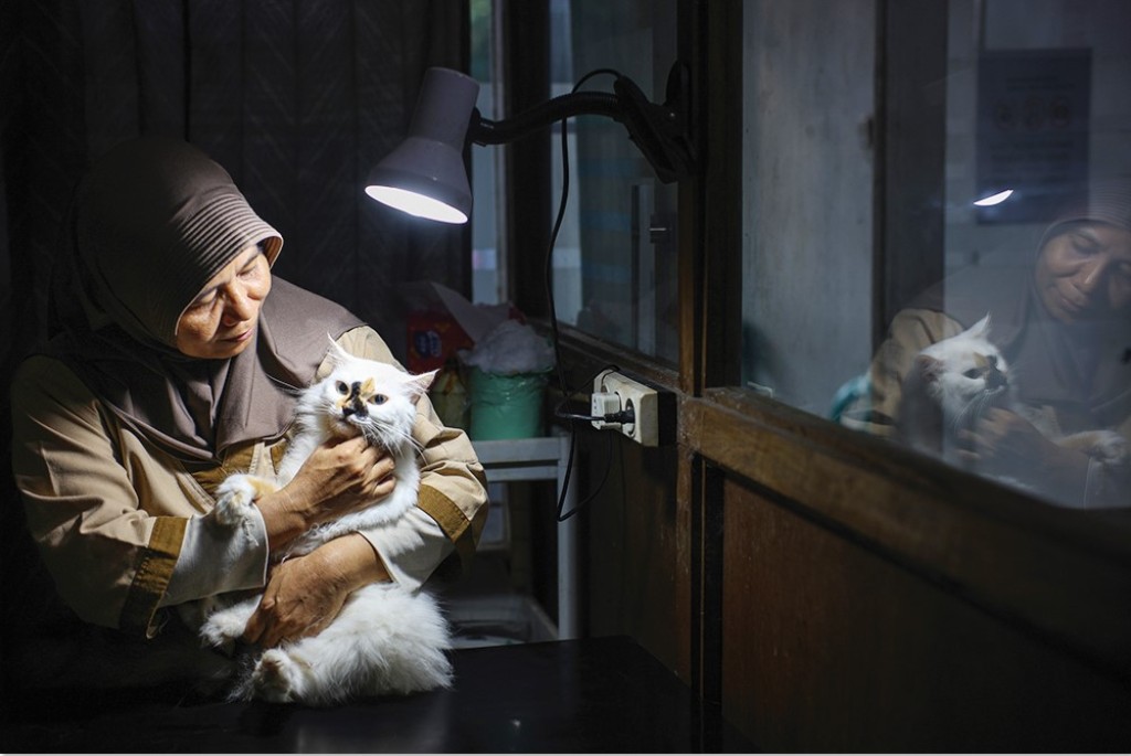 TELATEN: drh. Diah Purwitasari sedang memeriksa kucing di klinik praktiknya di Jalan Kesra Raya, Perumnas, Kota Mataram, kemarin (13/6). Kucing berjenis persia ini dicek secara menyeluruh.