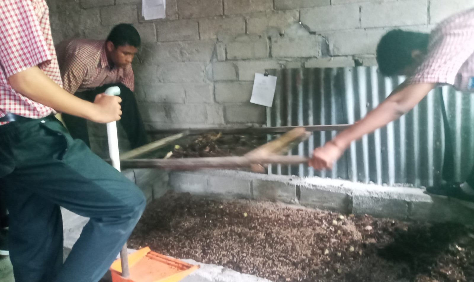 Siswa SMPN 10 Mataram memanfaatkan sampah untuk budidaya maggot.