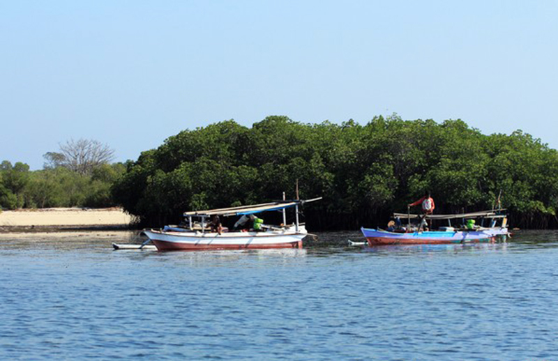 Pulau Panjang di Kecamatan Alas, Sumbawa, Provinsi NTB ini masuk ke dalam jual beli pulau secara online