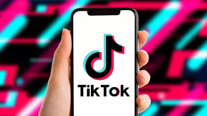 Ilustrasi: Platform berbagi video pendek, TikTok.
