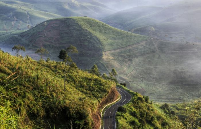 Ilustrasi Gunung Papandayan yang cocok didaki pemula