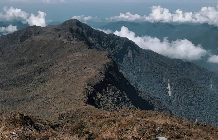 Gunung Leuser di Aceh Tenggara masuk dalam pendakian terekstrem