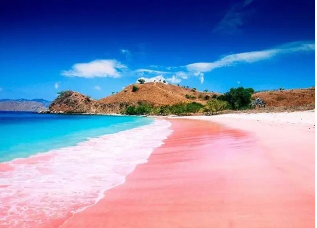 Wisata pantai pink di Lombok Timur