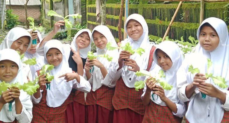 Murid MI Al-Hikam NW Kuripan Utara belajar hidroponik.
