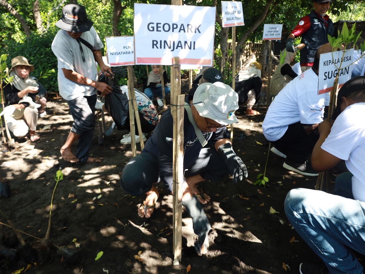 Perwakilan berbagai stakeholder menanam mangrove di Desa Sugian, Kecamatan Sambelia, Lombok Timur untuk mengisi rangkaian kegiatan Hari Mangrove Sedunia.
