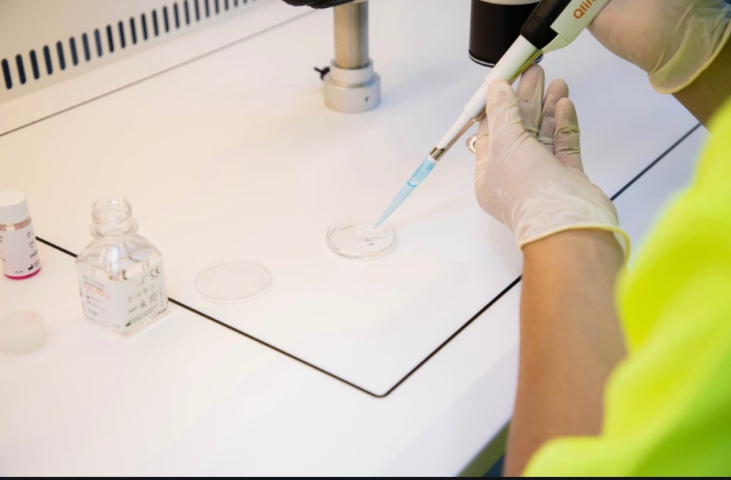 PROSES PEMBUAHAN: Seorang embriolog menggunakan mikropipet untuk menempatkan sperma ke dalam medium berisi sel telur di cawan petri. Prosedur ini merupakan bagian krusial.