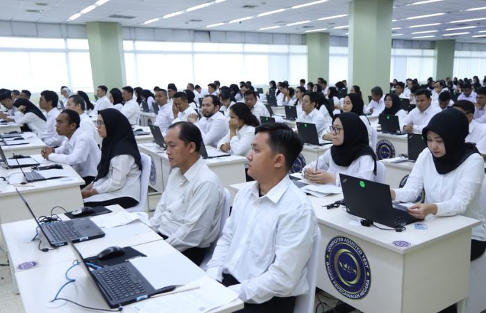 Jabatan yang siap diisi honorer usai diangkat menjadi PPPK paruh waktu