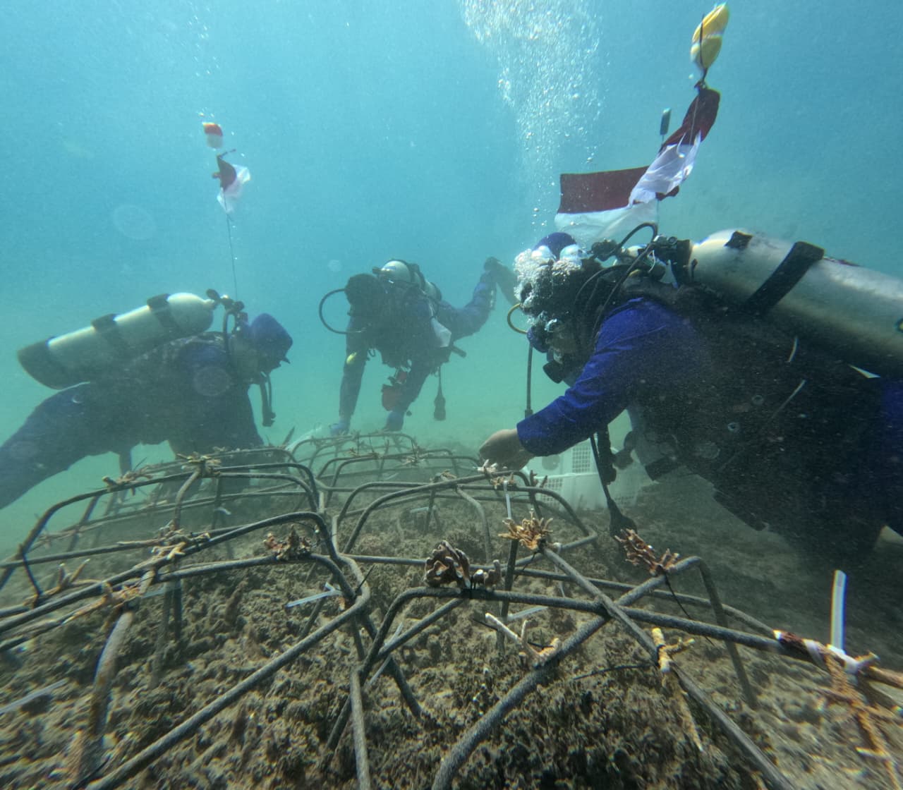 Aksi penanaman terumbu karang yang dilakukan personel Polairud di perairan Pantai Pandanan, Lombok Utara.