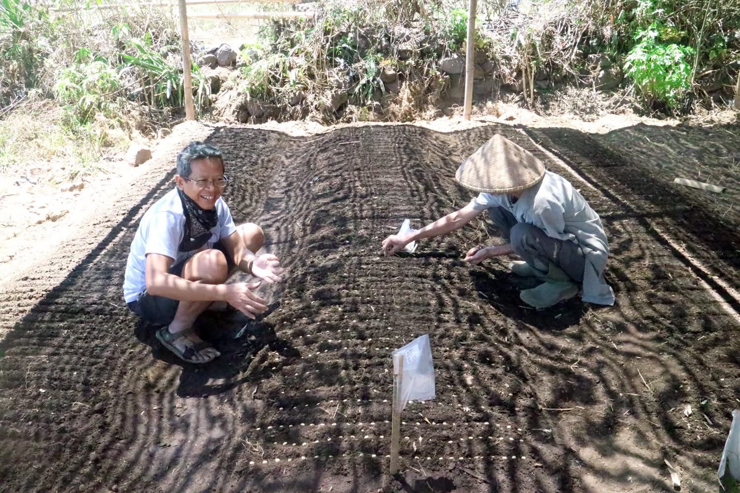 Iskandar Zulqarnain (kiri) melakukan penyemaian biji kopi arabika berbagai jenis varietas, beberapa waktu lalu.