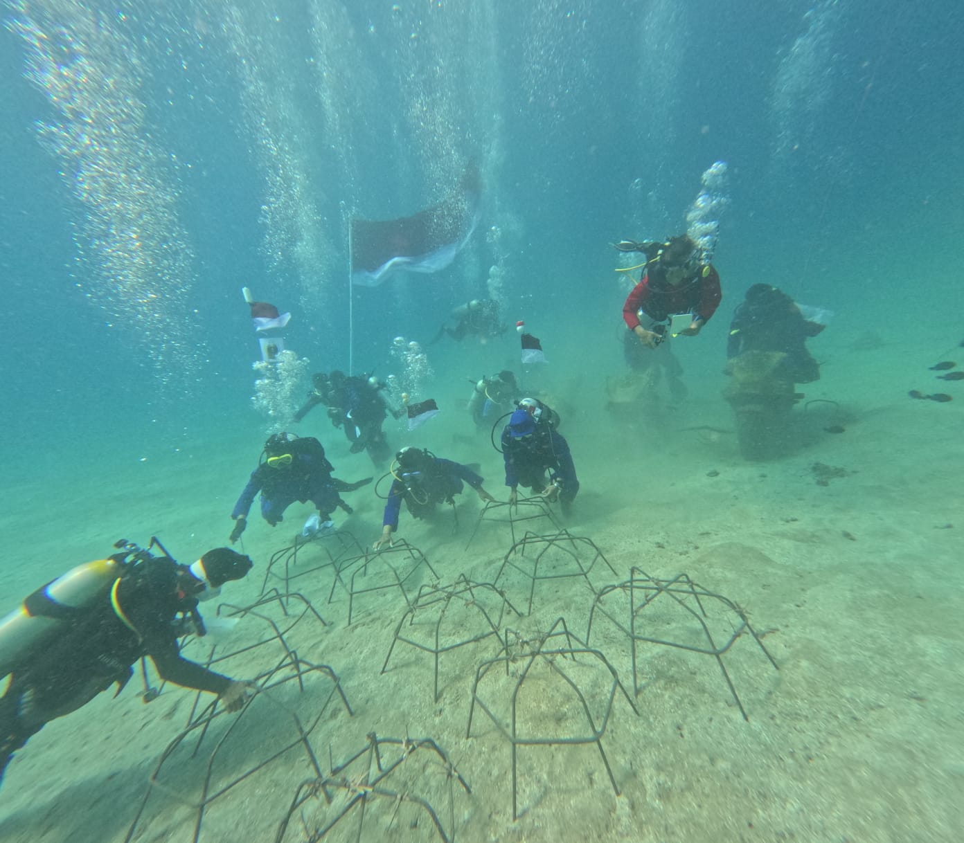 Aksi penanaman 100 bibit terumbu karang dan pengibaran bendera merah putih di Pantai Pandanan, Lombok Utara.